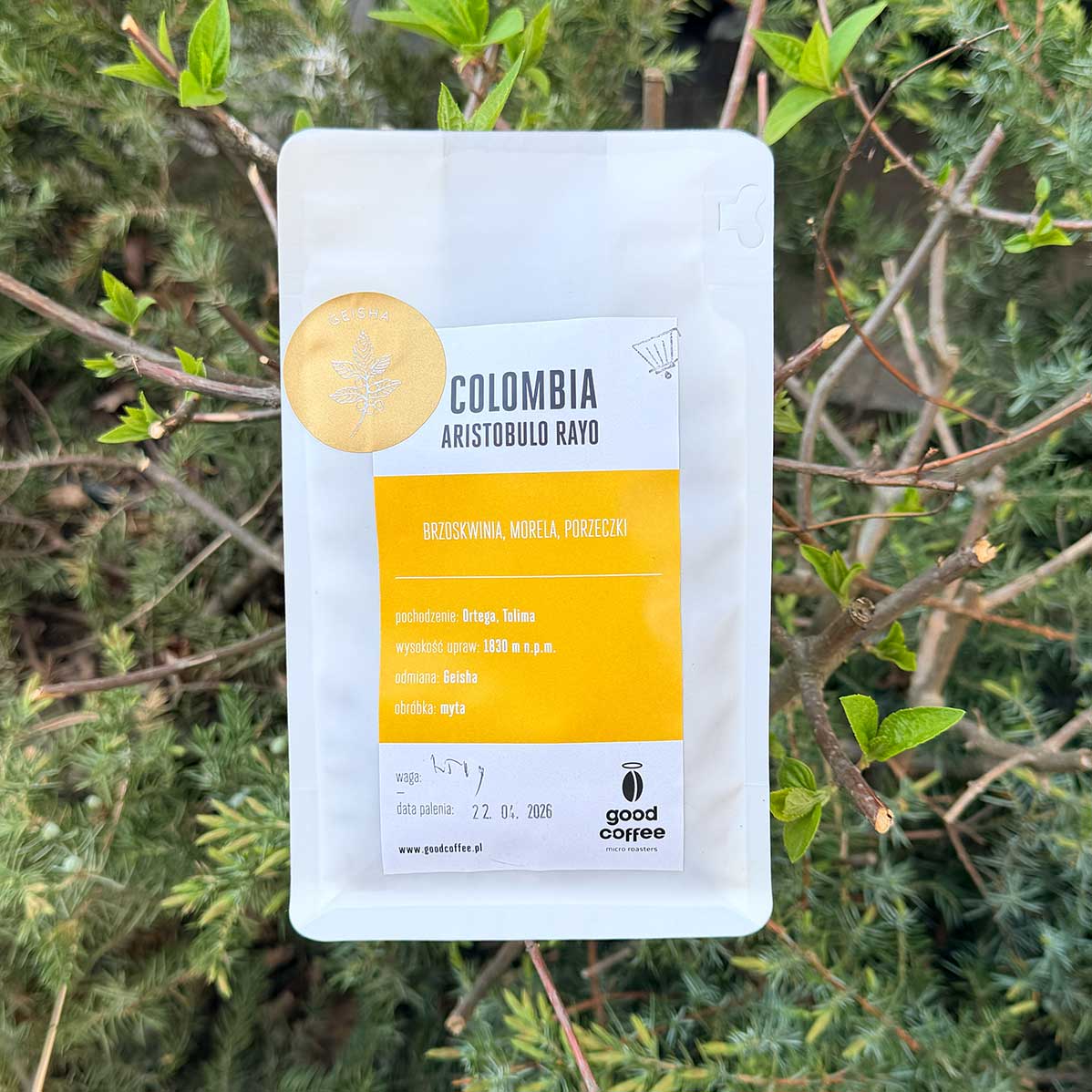 Kolumbia Aristobulo Rayo 250g