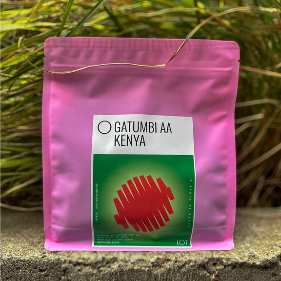 Kenya Gatumbi AA 250g