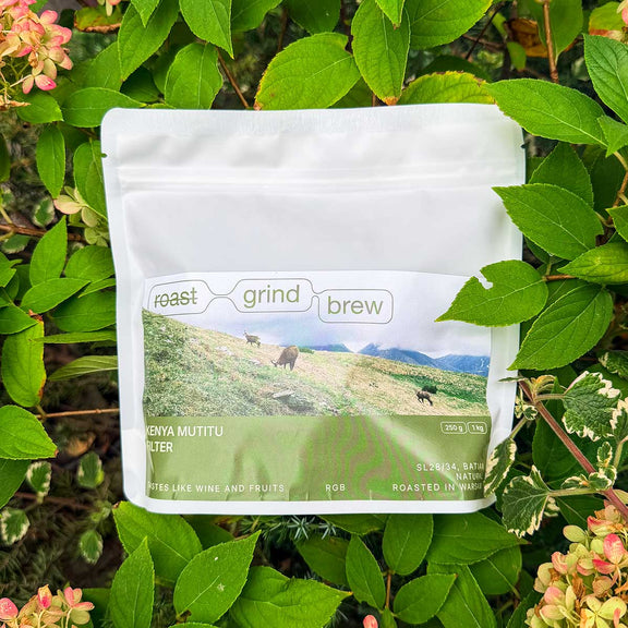 Kenya Mutitu Natural 250g