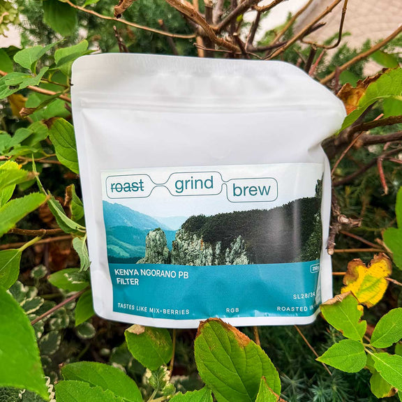 Kenya Ngorano PB Washed 250g